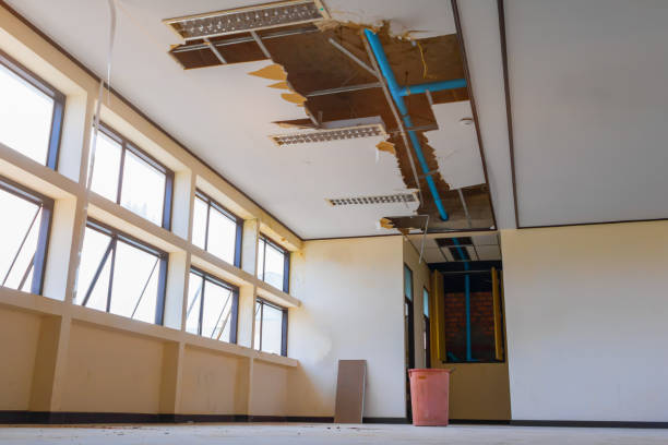 Best Water damage contractors near me  in Sussex, WI