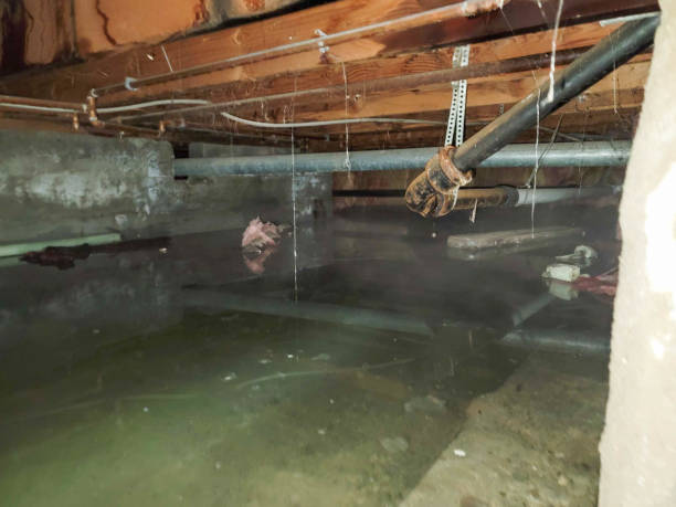 Best Emergency water damage restoration  in Sussex, WI