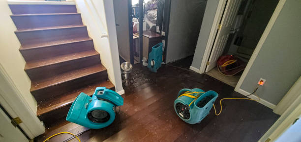 Best Ceiling water damage repair  in Sussex, WI