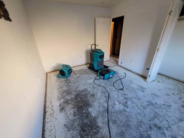 Best Water damage restoration mold remediation  in Sussex, WI