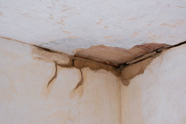 Best Sewage cleanup and water damage restoration  in Sussex, WI