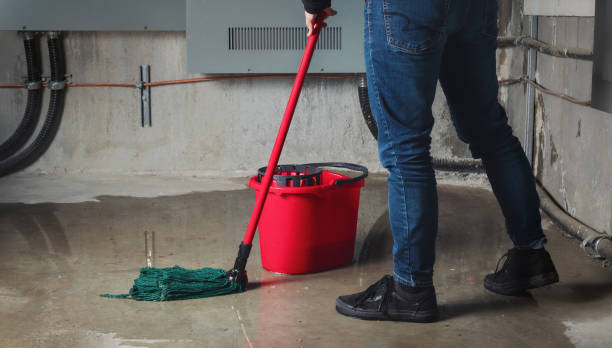 Best Water damage repair service  in Sussex, WI