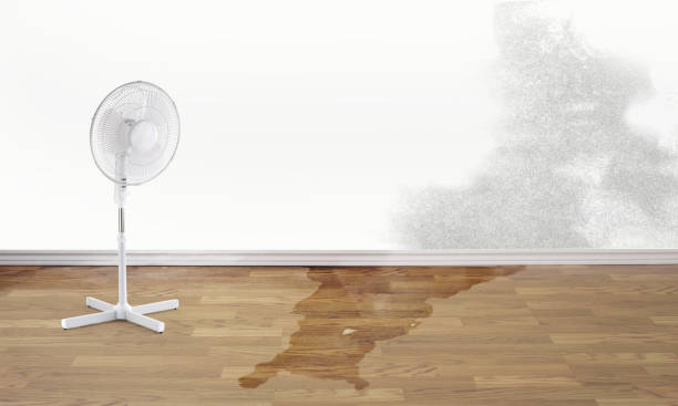  Sussex, WI Water damage restoration Pros