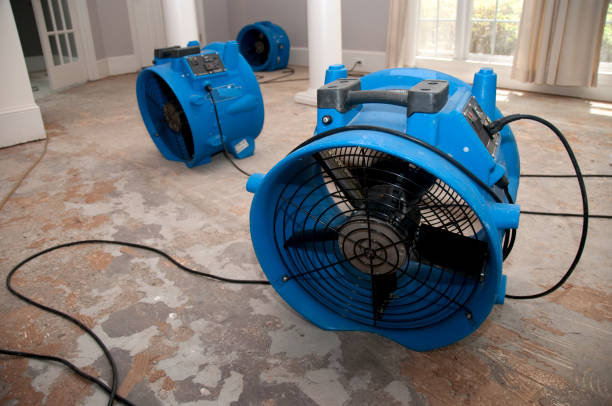 Best Water damage mitigation services  in Sussex, WI