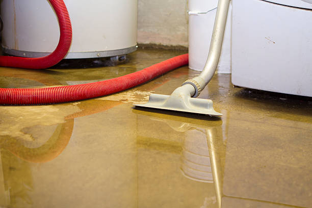 Best 24-hour water damage restoration  in Sussex, WI